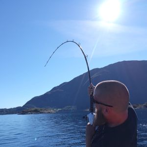 Fjordtroll