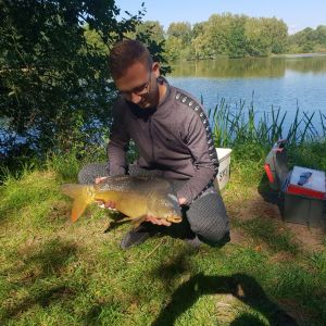 Profilbild