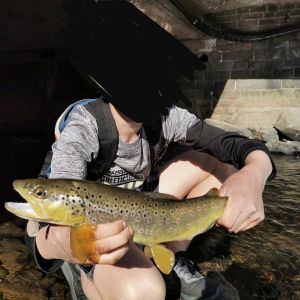 Leosbigtrouts