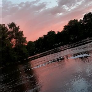 Profilbild