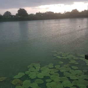 Jaeneckes Teiche (Stendal) ALLE ANGELN