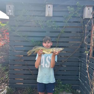 Profilbild