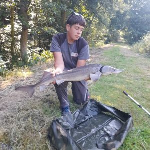 Profilbild