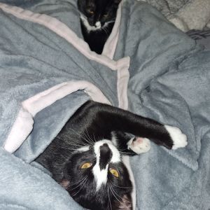 Jacqueline Martinski