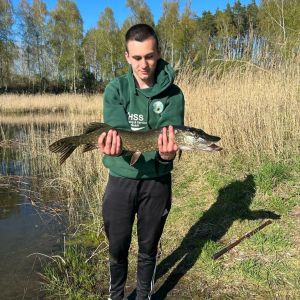 Profilbild