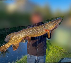 BerlinerAngler