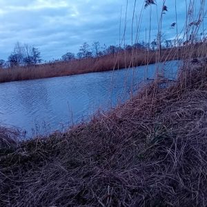 Leon-fishing