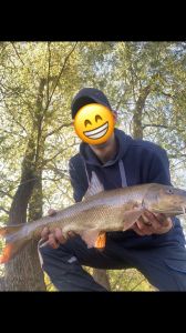 Profilbild