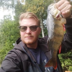 Profilbild