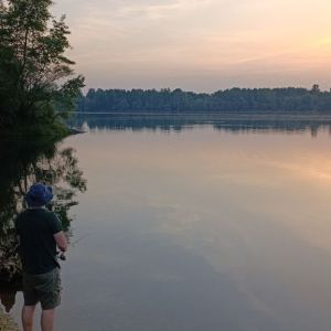 Profilbild
