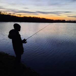 Profilbild