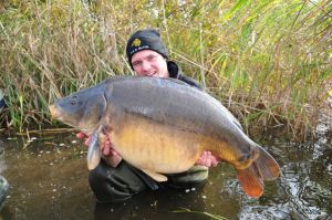 CarpTotal