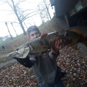 Profilbild