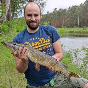 Profilbild