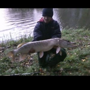 Profilbild