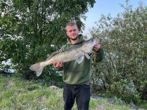 Colin29