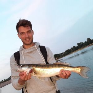 Profilbild