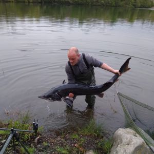 Brocki Carp