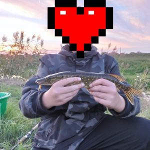 Profilbild