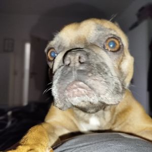 Profilbild