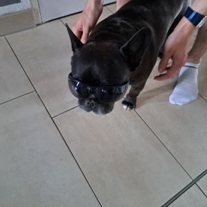 Profilbild