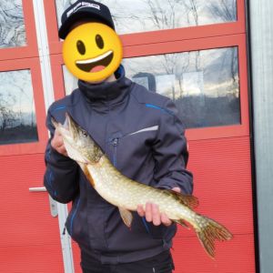 Profilbild