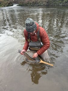 Troutmaster3000