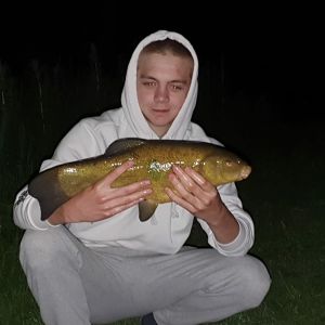 Darian1
