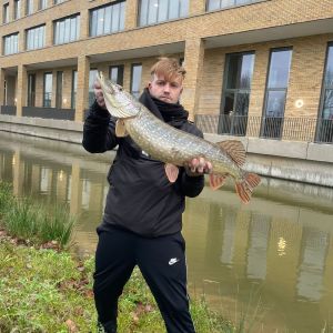 Marvin Noack Der Mit den Hechten Tanzt