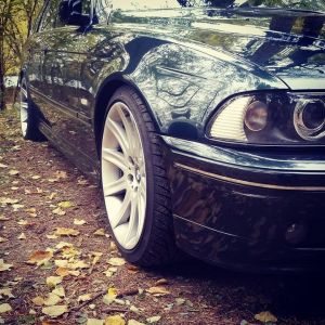 Profilbild