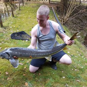 Profilbild