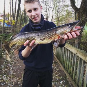 Profilbild