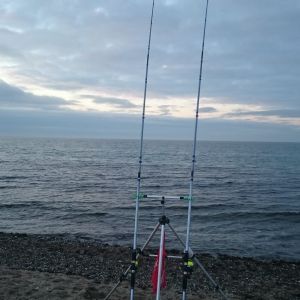 SeppelK2012
