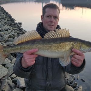 Torsten Laube