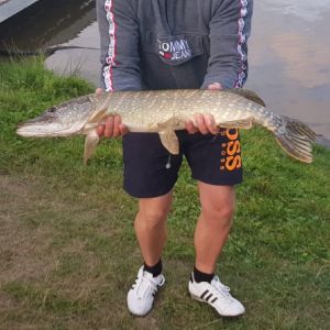 Profilbild