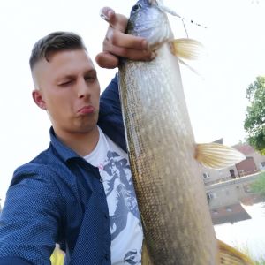 Profilbild