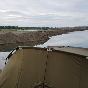Carplover