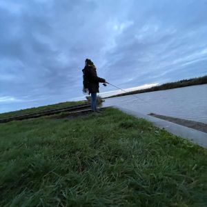 Profilbild