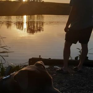 Profilbild