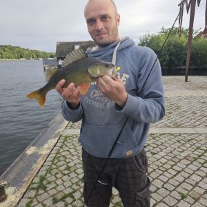 Profilbild
