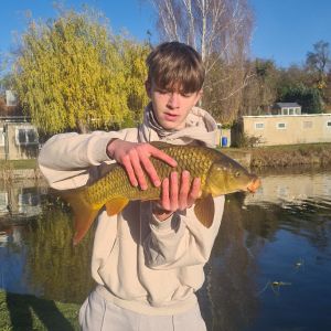 Profilbild