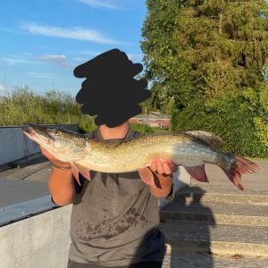 Profilbild