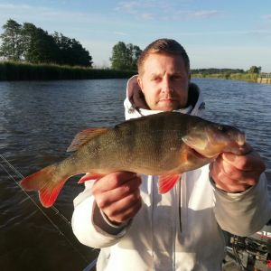 Profilbild