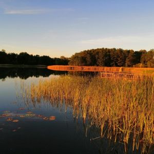 Leon_the_fishing_gott