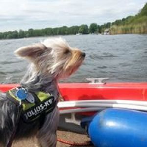 Profilbild
