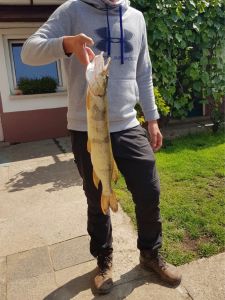Profilbild