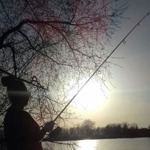 Profilbild