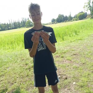 Profilbild