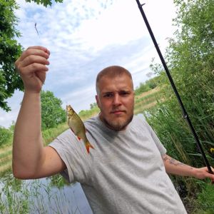 Profilbild