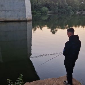 Profilbild